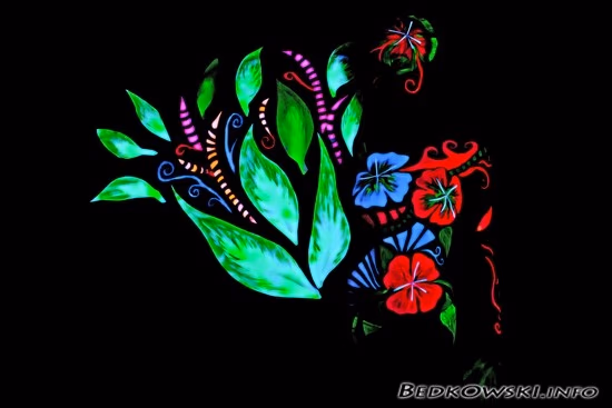 bezpieczne, hipoalergiczne farby do twarzy i ciała, zmywalne - Lubin, Wrocław, Brzeg, Opole, Oława, Legnica - zoptymalizowana wersja do szybkiego ładowania