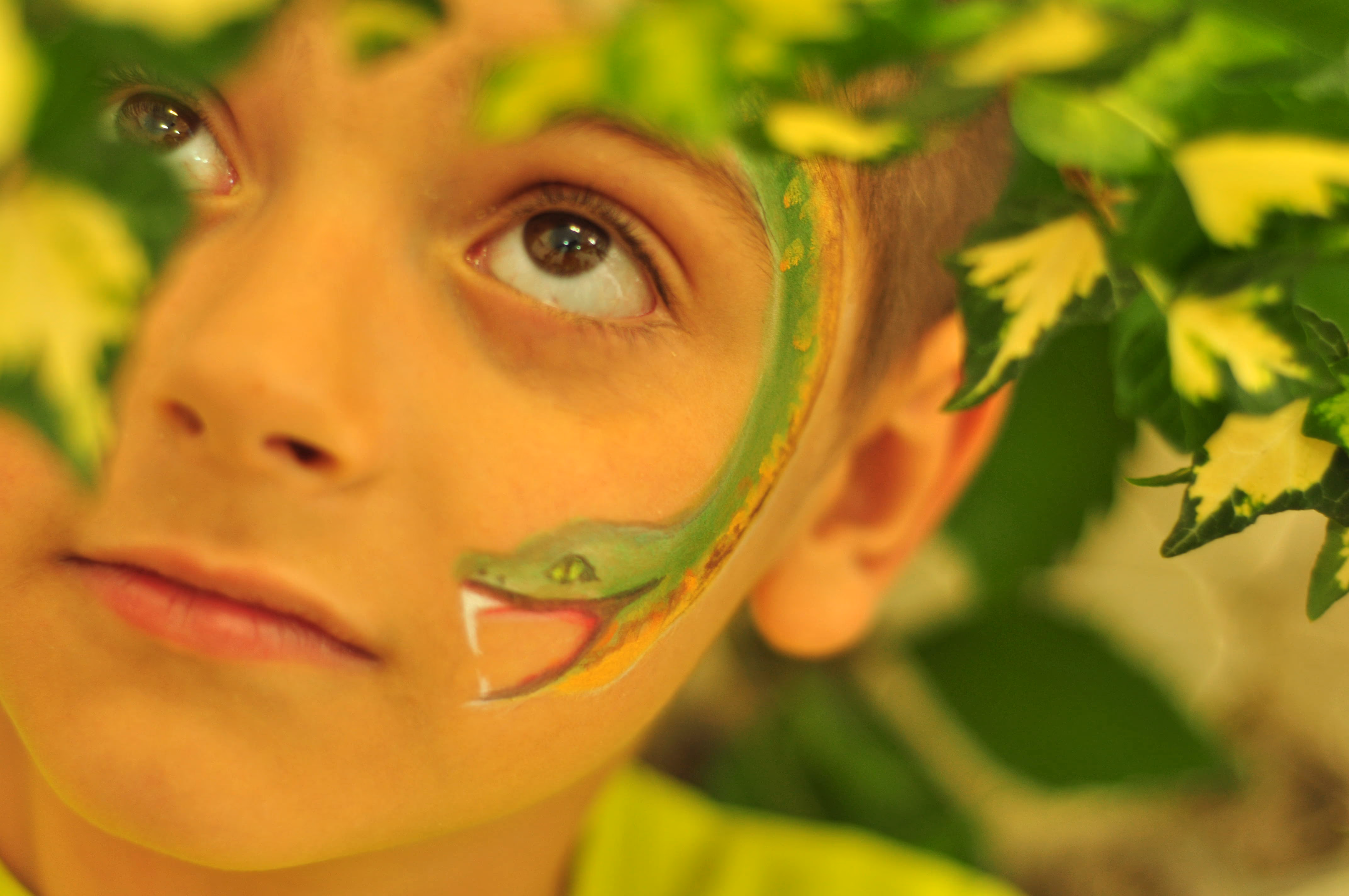 bezpieczne, hipoalergiczne farby do twarzy i ciała, zmywalne - w Lubinie, we Wrocławiu, w Brzegu, w Opolu, w Oławie, w Legnicy - zoptymalizowana wersja do szybkiego ładowania